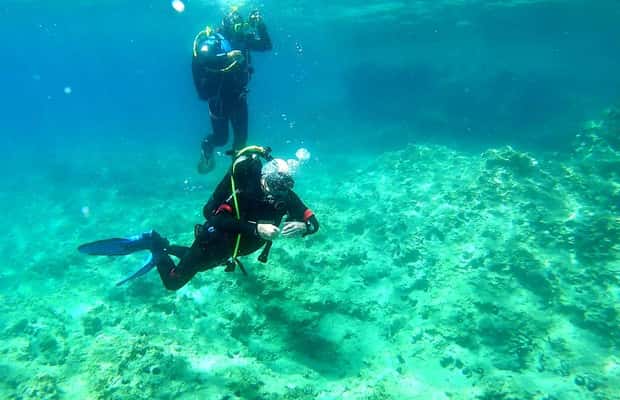 Bild Nr. 1 von Budva Diving – Taucherlebnis Aktivität in Budva, hochgeladen vom Anbieter