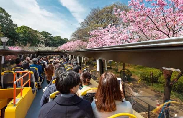 サプライヤーによってアップロードされた、東京の東京音声ガイド付きオープントップ観光バスの画像#1