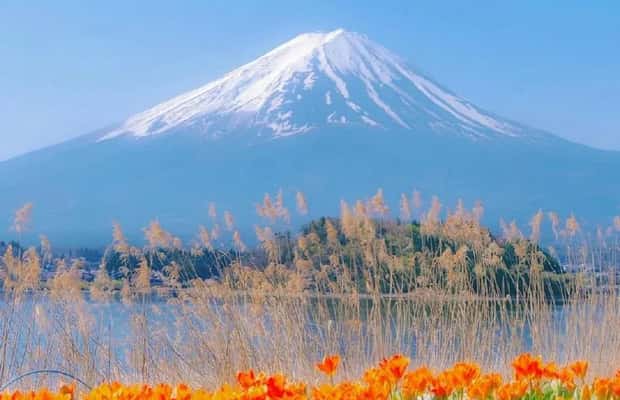obrázek č.1 aktivity Celodenní výlet na 5 nejzajímavějších míst hory Fudži: Park Arakurayama,Oshino Hakkai v destinaci Fujiyoshida, nahraný poskytovatelem aktivity
