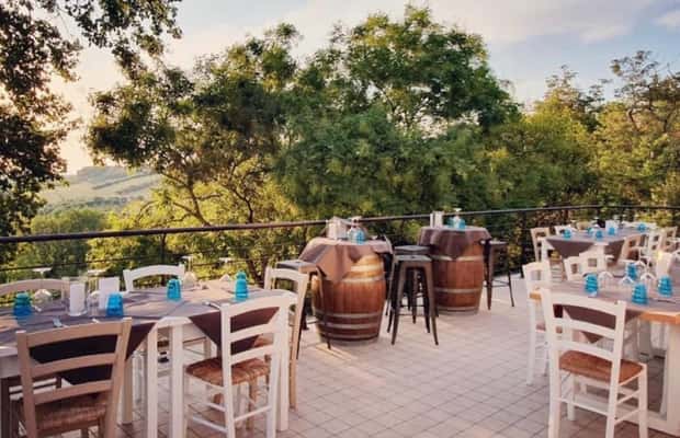 image n.1 of Marche Wines: Explore the Richness of Local Flavors activity in Ancona, uploaded by supplier