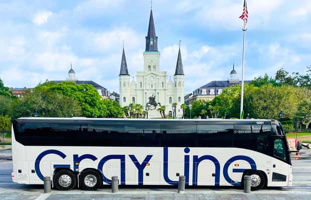 image n.1 of New Orleans: City Tour & Steamboat Daytime Jazz Cruise Combo activity in New Orleans, uploaded by supplier