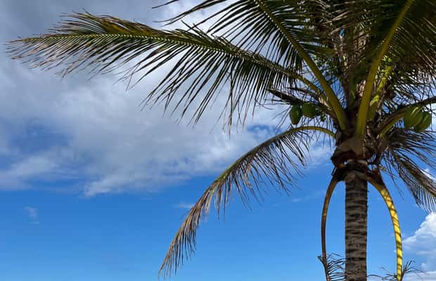 image n.1 of San Juan:Beach hopping Los Tubos, Hacienda Esperanza & more activity in Manatí, uploaded by supplier