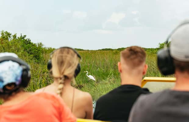 imagen n.º 1 de Desde Miami: Paseo en hidrodeslizador por los Everglades y caminata por la naturaleza actividad en Miami, subida por el proveedor