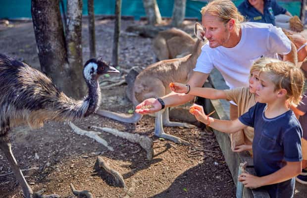 image n.1 of Port Douglas: Breakfast with the Birds activity in Port Douglas, uploaded by supplier