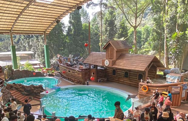 image n.1 of Jakarta : Safari Park Show, Tea Plantation & Waterfall activity in Java, uploaded by supplier