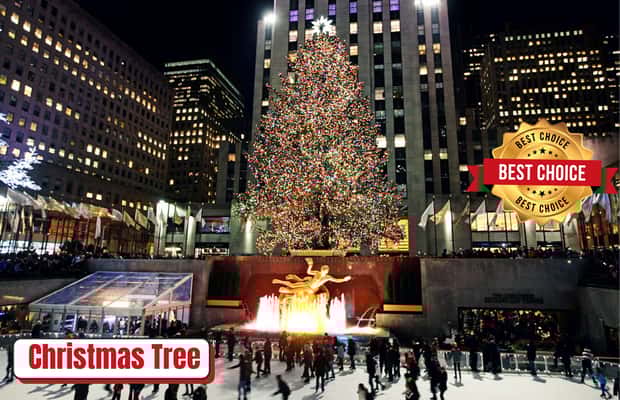 Image N°1 de NYC : Jingle Bell Joyride Holiday Tour activité à New York, publiée par le prestataire