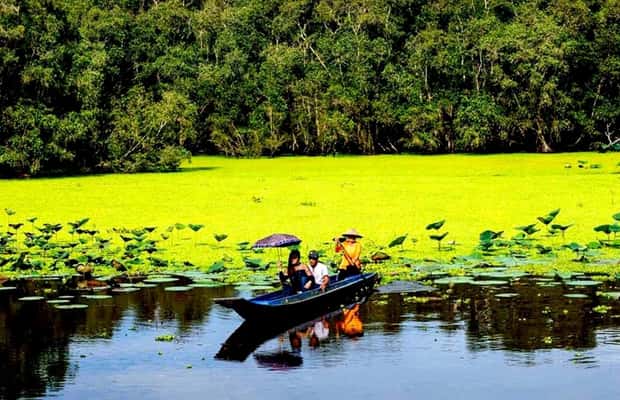 Immagine nº 1 di Da Ho Chi Minh: tour di 3 giorni sul Mekong e mercato galleggiante di Cai Rang attività a Cần Thơ, caricata dal fornitore