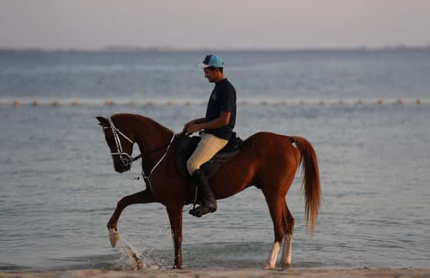 imagem n.1 de Abu Dhabi: Experiências de passeios a cavalo na Ilha Hudairiyat atividade em Abu Dhabi, carregada pelo fornecedor