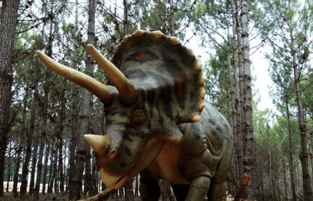 Parc des dinosaures - visite d'une demi-journée en famille | GetYourGuide