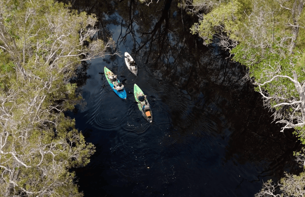 Bild Nr. 1 von Noosa: Kajak-Tour durch die Noosa Everglades und das Stingray Sanctuary Aktivität in Sunshine Coast, hochgeladen vom Anbieter