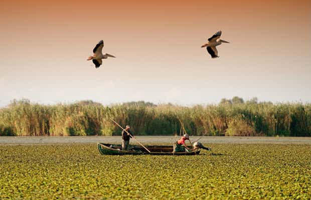 image n.1 of From Bucharest: Day Trip to Danube Delta activity in Tulcea County, uploaded by supplier