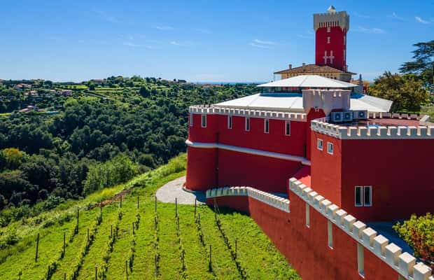 image n.1 of Wine Tasting, Cannes, Famous Designers and Perfume Factory activity in Grasse, uploaded by supplier