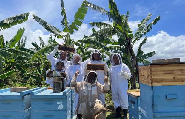 foto no. 1 dari aktivitas Tur Peternakan Lebah & Mencicipi Madu di Waialua, diunggah oleh pemasok