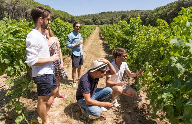 billede nr.1 af aktiviteten Avignon: Heldagstur til Châteauneuf du Pape-vine og Luberon i Lacoste, uploadet af udbyder