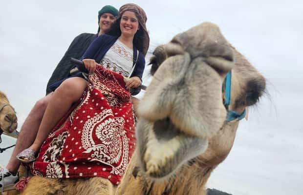 imagen n.º 1 de Desde Agadir: Paseo en Camello y Excursión a los Flamencos actividad en Sus-Masa-Draa, subida por el proveedor