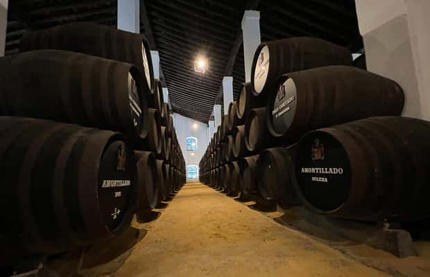 afbeelding n.1 van Jerez: Rondleiding door een wijnmakerij met wijnproeverij activiteit in Jerez de la Frontera, geüpload door aanbieder
