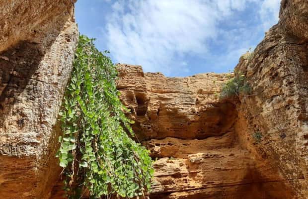 Image N°1 de Excursion d'une journée à Cap Bon : Fort de Kelibia, Kerkouane classée au patrimoine mondial de l'UNESCO et plage des Grottes activité à Région de Nabeul, publiée par le prestataire