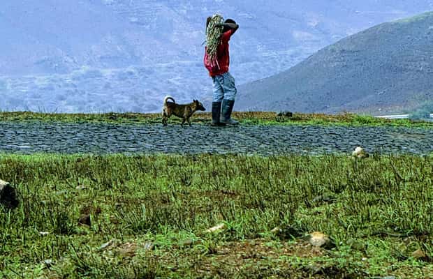 image n.1 of Hike Monte Verde activity in São Vicente, Cape Verde, uploaded by supplier