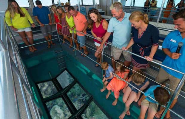 imagen n.º 1 de Cayo Hueso Tour en barco de fondo de cristal por los arrecifes con opción de puesta de sol actividad en Cayo Hueso, subida por el proveedor