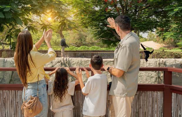 image n.1 of Dubai: Dubai Safari Park Entry Pass activity in Dubai, uploaded by supplier