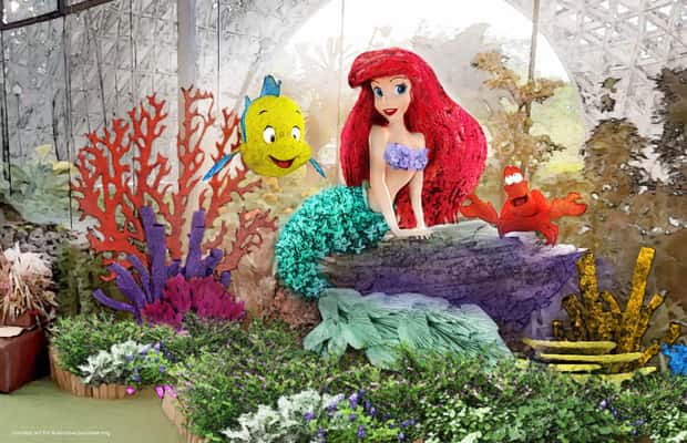 imagen n.º 1 de Singapur: Jardín de las Maravillas Disney en Fantasía Floral actividad en Singapur, subida por el proveedor