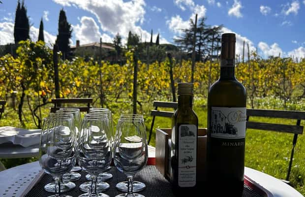 From Rome: Half-Day Frascati Wine Tour with Farmhouse Lunch