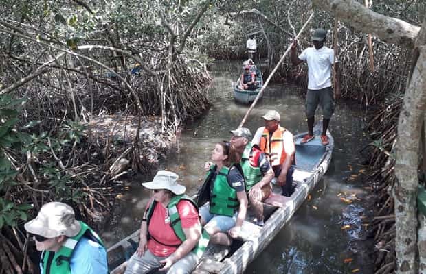 image n.1 of Cartagena: Sail in the mangroves of Cartagena activity in Cartagena, uploaded by supplier