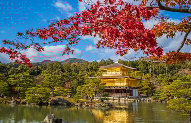 obrázek č.1 aktivity Ósaka/Kyoto: Kinkakuji, Arashiyama, svatyně Fushimi Inari, park Nara v destinaci Kjóto, nahraný poskytovatelem aktivity