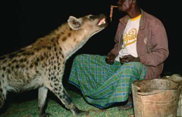 image n.1 of From Addis Ababa: 4-Day Harar and Lalibela Tour activity in Harar, Ethiopia, uploaded by supplier