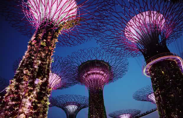 image n.1 of Singapore: Private Tour with a Local Guide activity in Singapore, uploaded by supplier