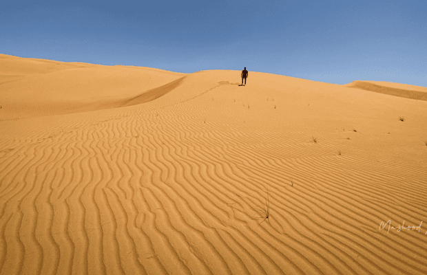 Immagine nº 1 di Muscat: tour di un giorno nel deserto di Wahiba Sands e Wadi Bani Khalid attività a Regione al-Sharqiyya, caricata dal fornitore