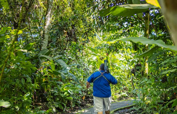 image n.1 of La Fortuna: Sloth Tour in Arenal Volcano Park & Local Snack activity in Alajuela Province, uploaded by supplier
