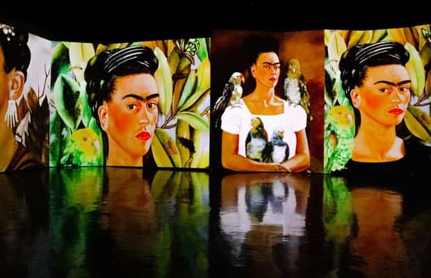 gambar no.1 daripada Amsterdam: Frida Kahlo Immersive & Pameran Foto aktiviti di Amsterdam, dimuat naik oleh pembekal 