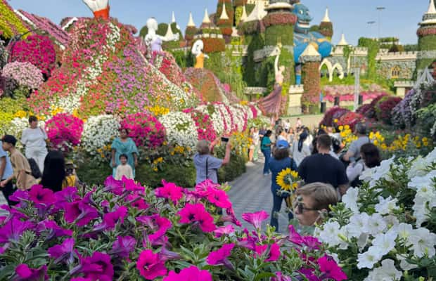 image n.1 of Dubai: Miracle Garden Ticket With Transfer activity in Dubai, uploaded by supplier