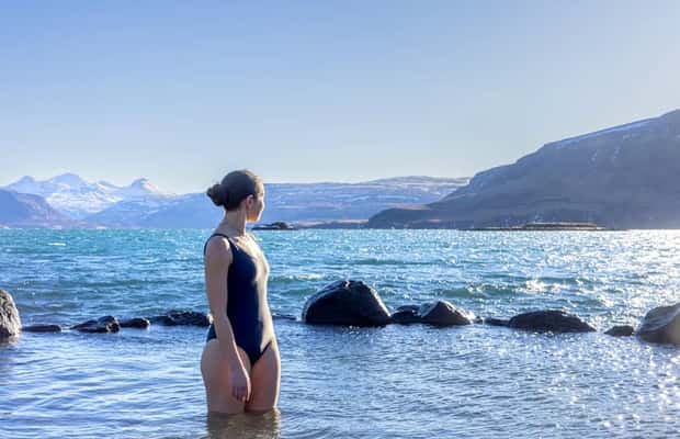 Da Reykjavík: Itinerario del Circolo d'Oro e sorgente termale di