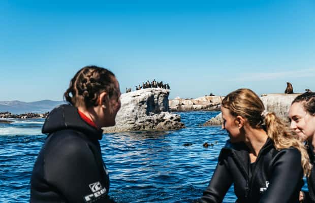 imagem n.1 de Hout Bay: Mergulho de Snorkel com Lobos-Marinhos atividade em Cidade do Cabo, carregada pelo fornecedor