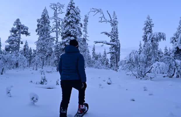 Immagine nº 1 di Saariselkä: Escursione con le racchette da neve nel Parco Nazionale Urho Kekkonen attività a Sodankylä, caricata dal fornitore