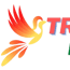 Trek India Tours