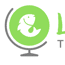 Little Fish Tours