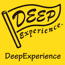 DeepExperience, Inc.