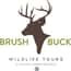 BrushBuck Wildlife Tours