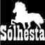 Sólhestar Horse rental