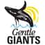 Gentle Giants Whale Watching