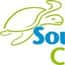 South Sea Cruises