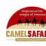 CAMEL SAFARIES