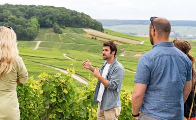 imagem n.2 de De Paris: Viagem de 1 dia para Champagne com 8 degustações e almoço atividade em Reims, carregada pelo fornecedor