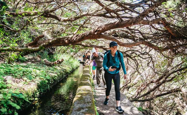 Madeira: Enjoy a Guided Levada Walk in the Rabaçal Valley