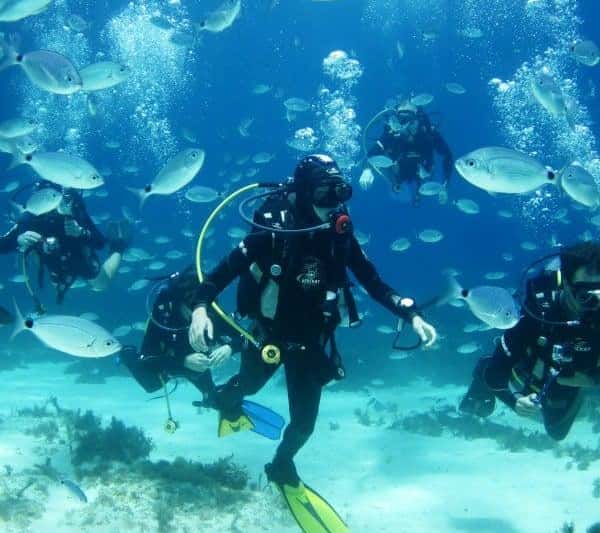 Sliema: SSI Try Scuba Experience for Beginners