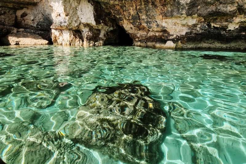 Comino Blue Lagoon: Private Boat Charter (3 Hours)