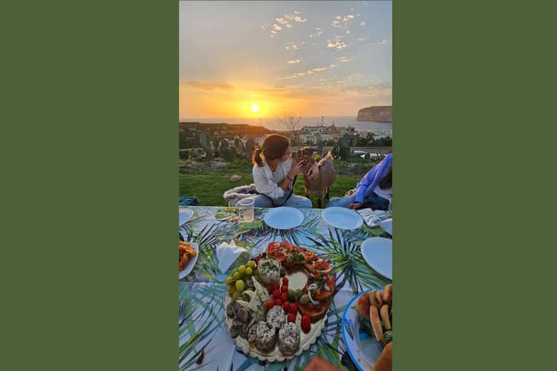 Gozo: Xlendi Bay Sunset Picnic with Pygmy Goats